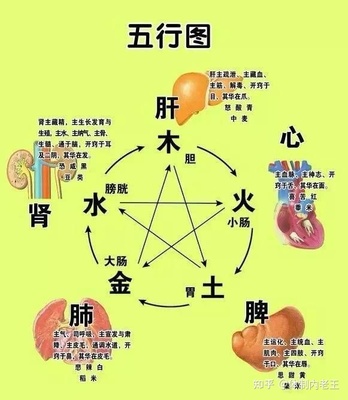 真的五行属性