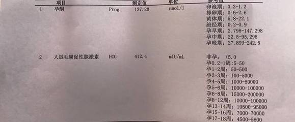 卵泡期 排卵期