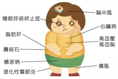 减肥吃肉是什么原因