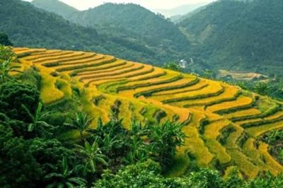 高州旅游景点