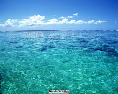 做梦梦见海