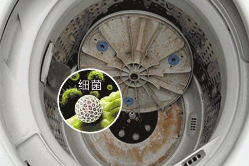 洗衣机的清理方法