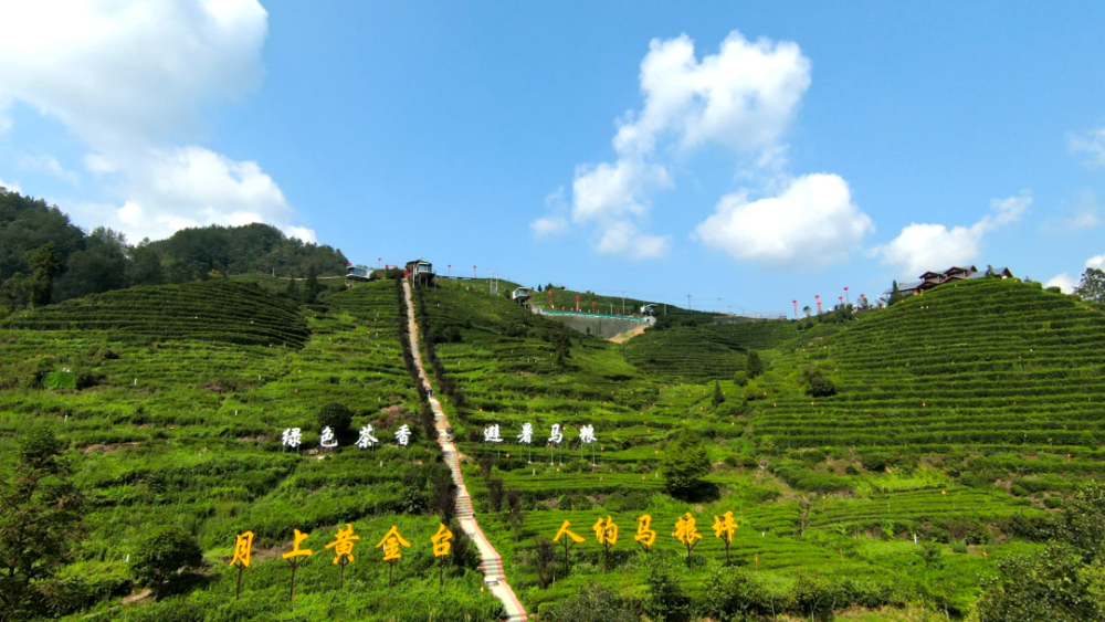 兴山景点排行榜