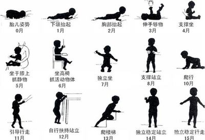 几个月学会翻身
