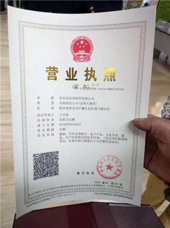 分公司营业执照样本