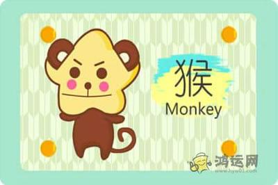 属鸡跟属猴的合不合