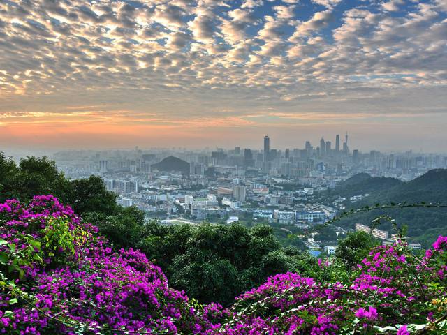 广州5a景区