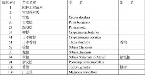 两个字的英文名字怎么写