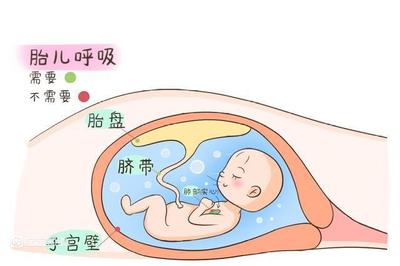 胎儿如何呼吸