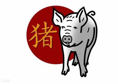 属猪今年爱情运势