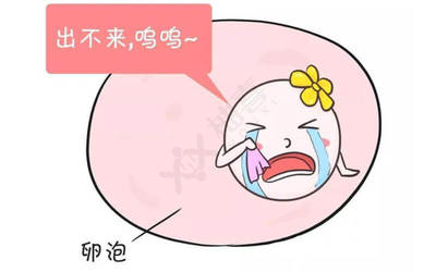 没有优势卵泡怎么治疗