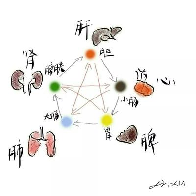 春字属于五行属什么