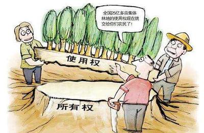 土地纠纷