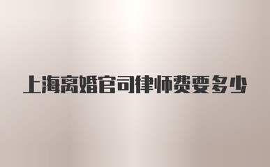 上海离婚官司律师