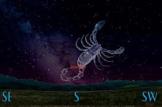 世界上有什么星座