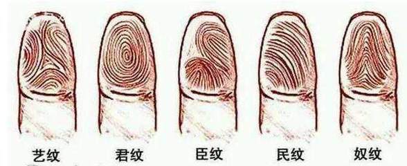 手指十个斗的男人命运