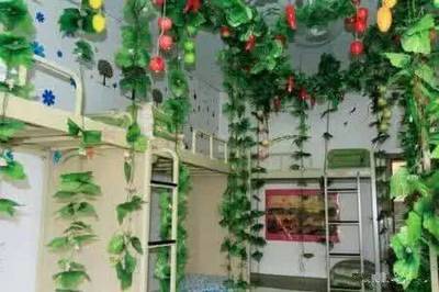 十大阳台化煞招财植物