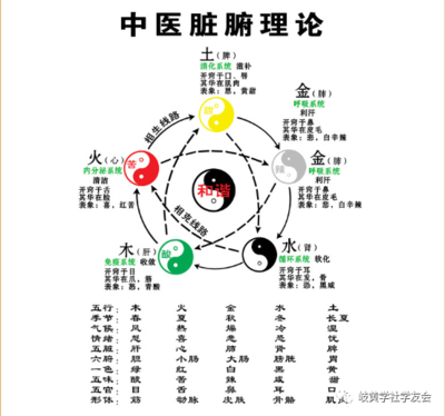 饮食行业五行属什么
