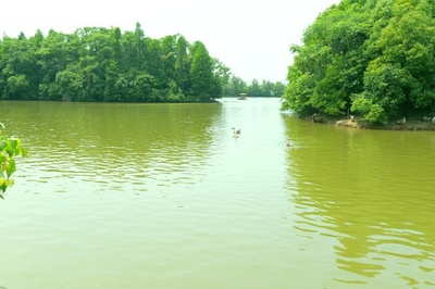 南昌湿地公园