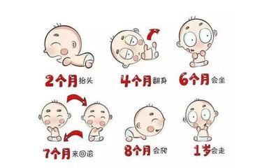 宝宝八个月需要补什么