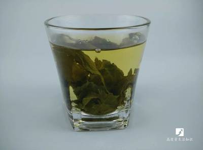 减肥乌龙茶