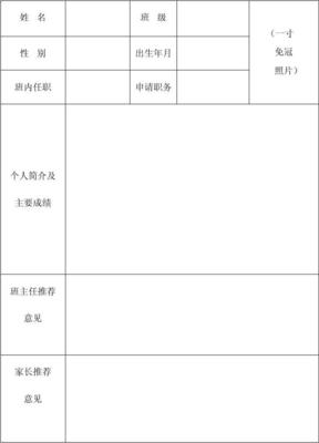 申请大队委个人简介怎么填