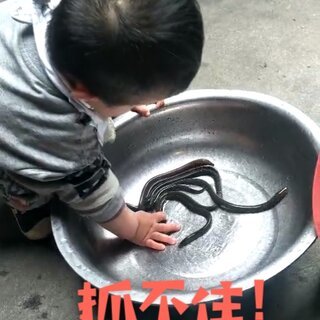 两岁宝宝可以吃鳝鱼吗