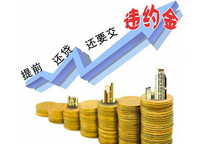 保费贷款