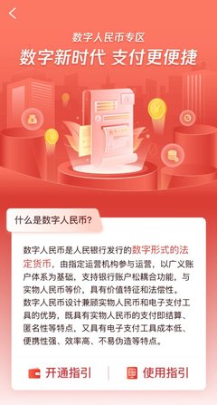 什么是支付活动