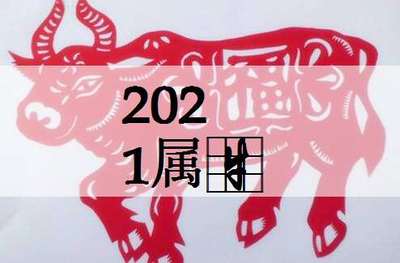 属牛男孩起名