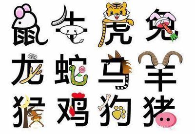 十二属相排序