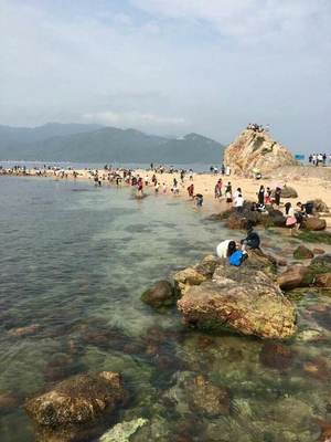 深圳最近的海边在哪里