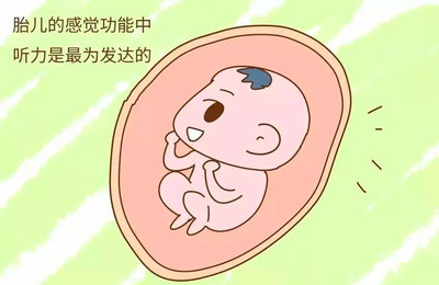胎儿几个月发育听力