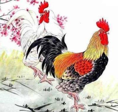 属什么生肖最有钱