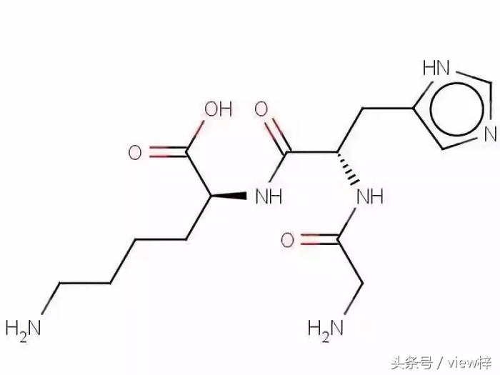 组氨酸的作用和功效