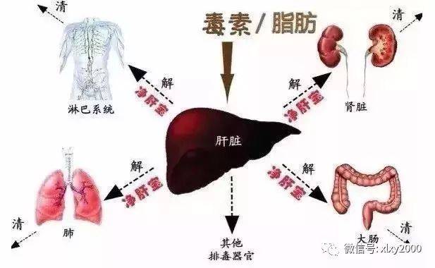 胆固醇结晶是怎么回事