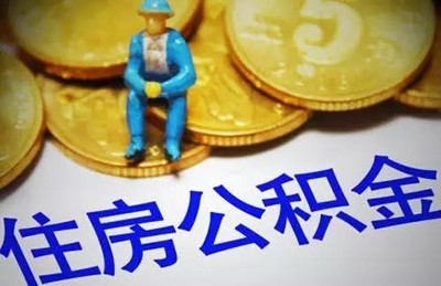 贷款是指