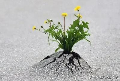 放生真的能改变命运吗