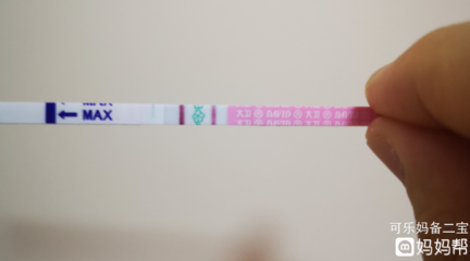 卵泡一个月有几个