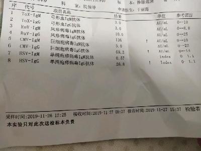 怀孕多久可以验血确认