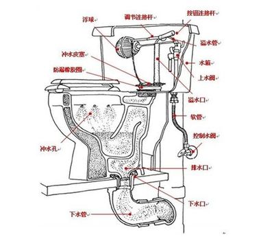 新式马桶