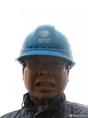 国家电网砍树赔偿标准
