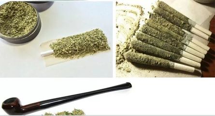 grass的俚语意思有哪些