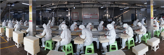 水饺生产线