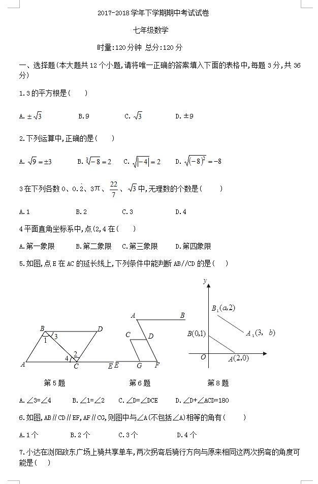 阴茎有多少条血脉