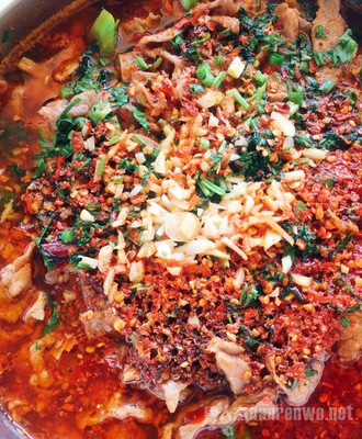 川菜肉片大全家常做法