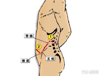 敲带脉减肥
