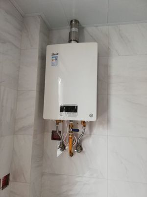 燃气热水器 推荐