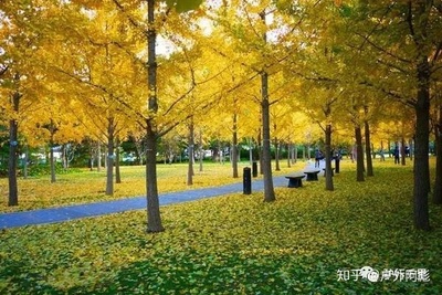 附近那有公园