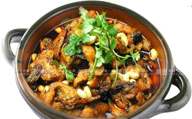 鲶鱼焖豆腐的做法大全家常